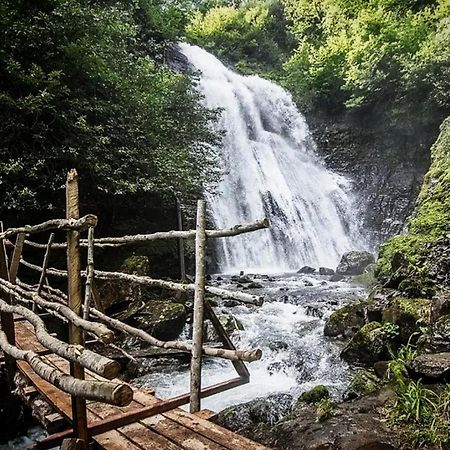 Гостевой Дом "Амза" Bed & Breakfast Tqvarcheli Dış mekan fotoğraf
