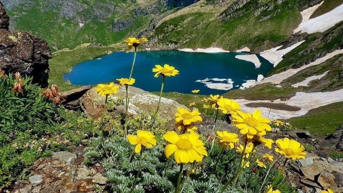 Гостевой Дом "Амза" Bed & Breakfast Tqvarcheli Dış mekan fotoğraf